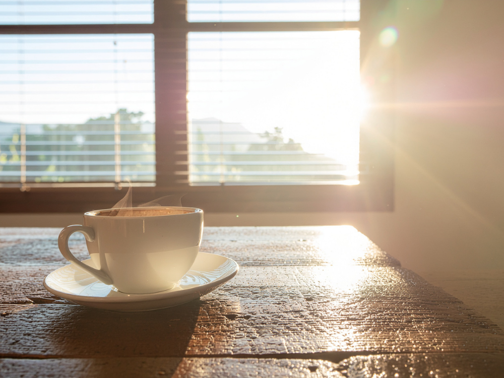window looking out onto a garden or trees in soft morning light