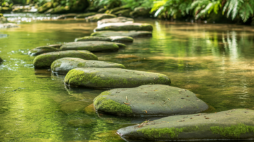 Continuity represented by stepping stones across calm water symbolizing mindful communication.