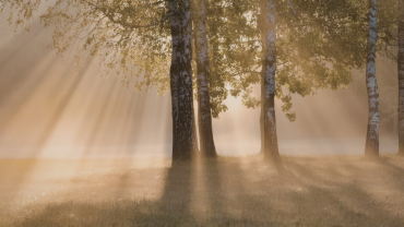 Does Samadhi, or can it, distort experience