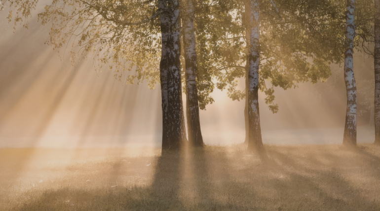 Does Samadhi, or can it, distort experience