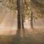 Does Samadhi, or can it, distort experience?