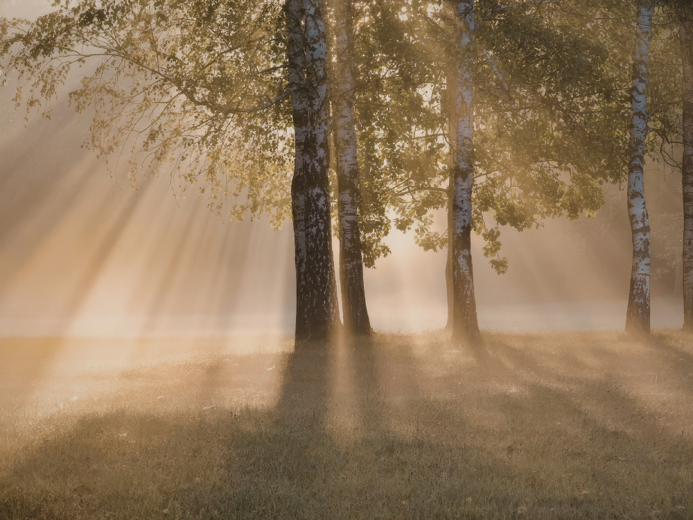 Does Samadhi, or can it, distort experience