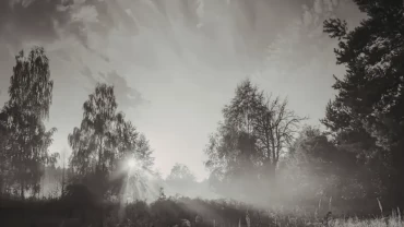 Ethical Fading