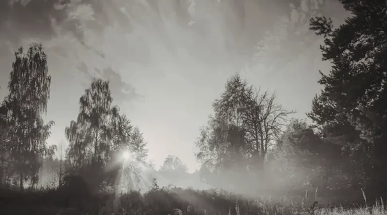 Ethical Fading
