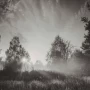 Ethical Fading