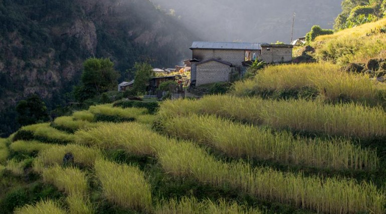 Photo by Bill Wellhouse