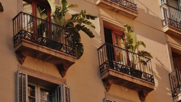 Rows of balconies with plants and light, symbolizing connection during separation