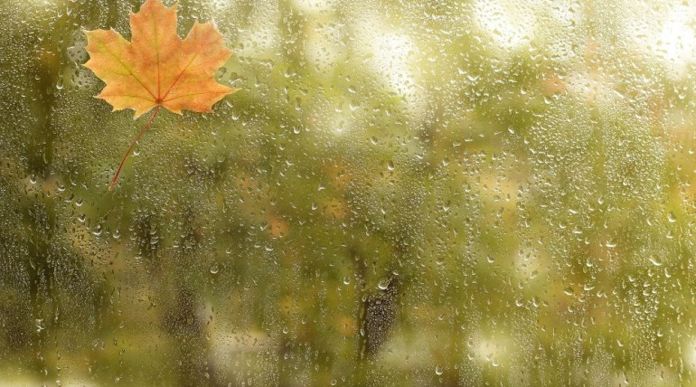 Leaf stuck to a rain-covered window, symbolizing continuity, reflection, and threads of caring