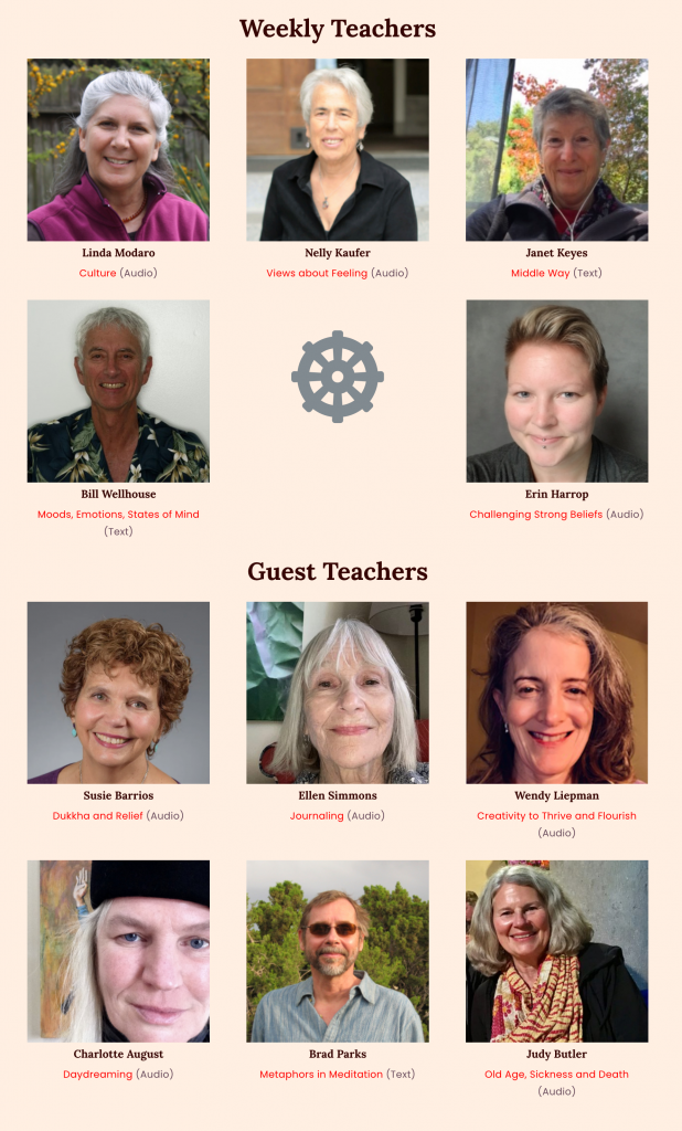 Sati Daily Online Meditation Team